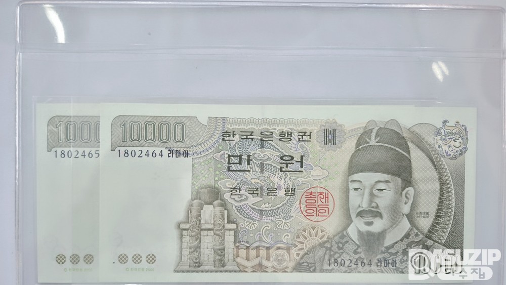 누드 지폐: 5차 만원 2연번