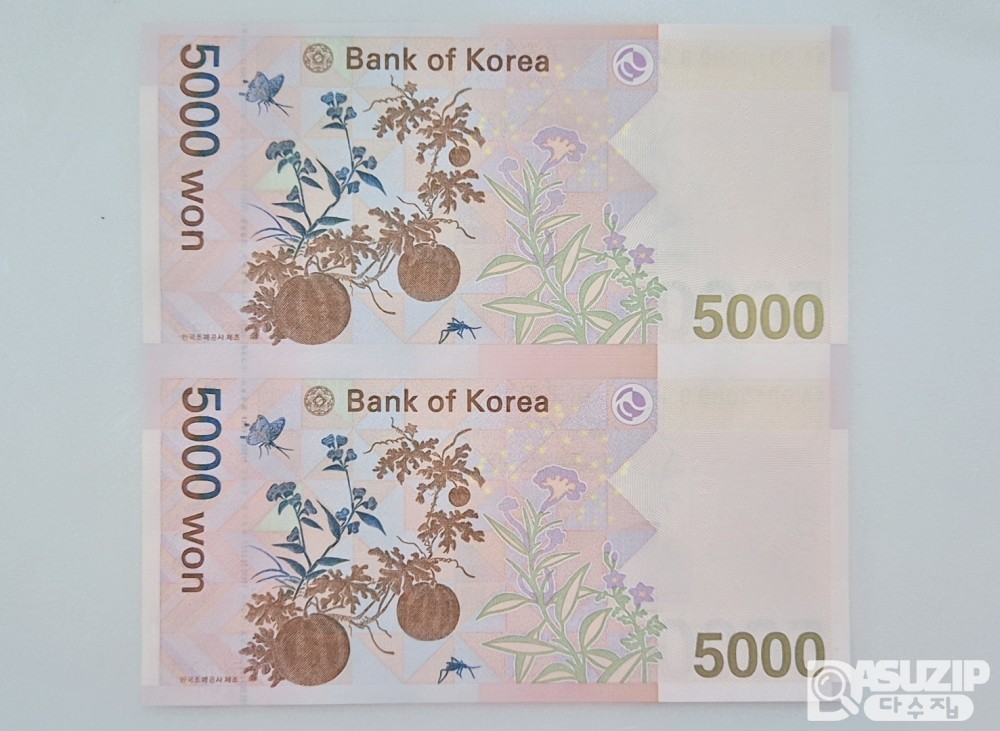누드 지폐: 5차 오천원 2면부
