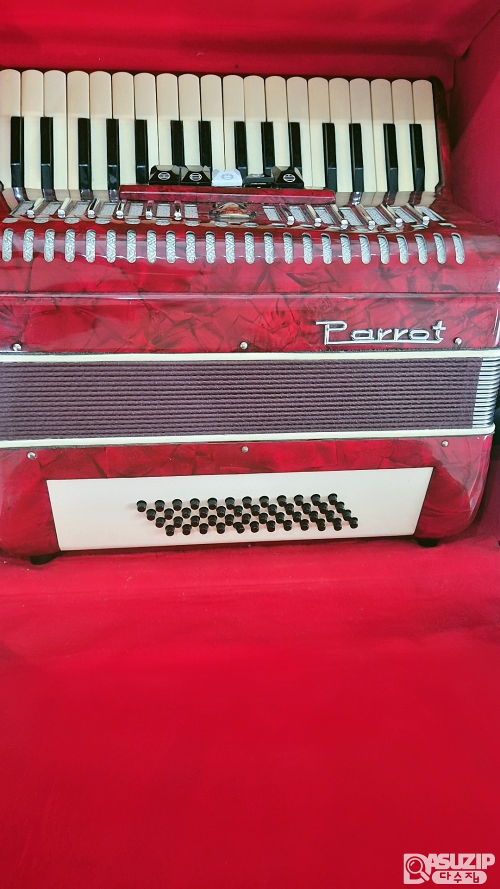 1960년대 앵무새(Parrot) 아코디언