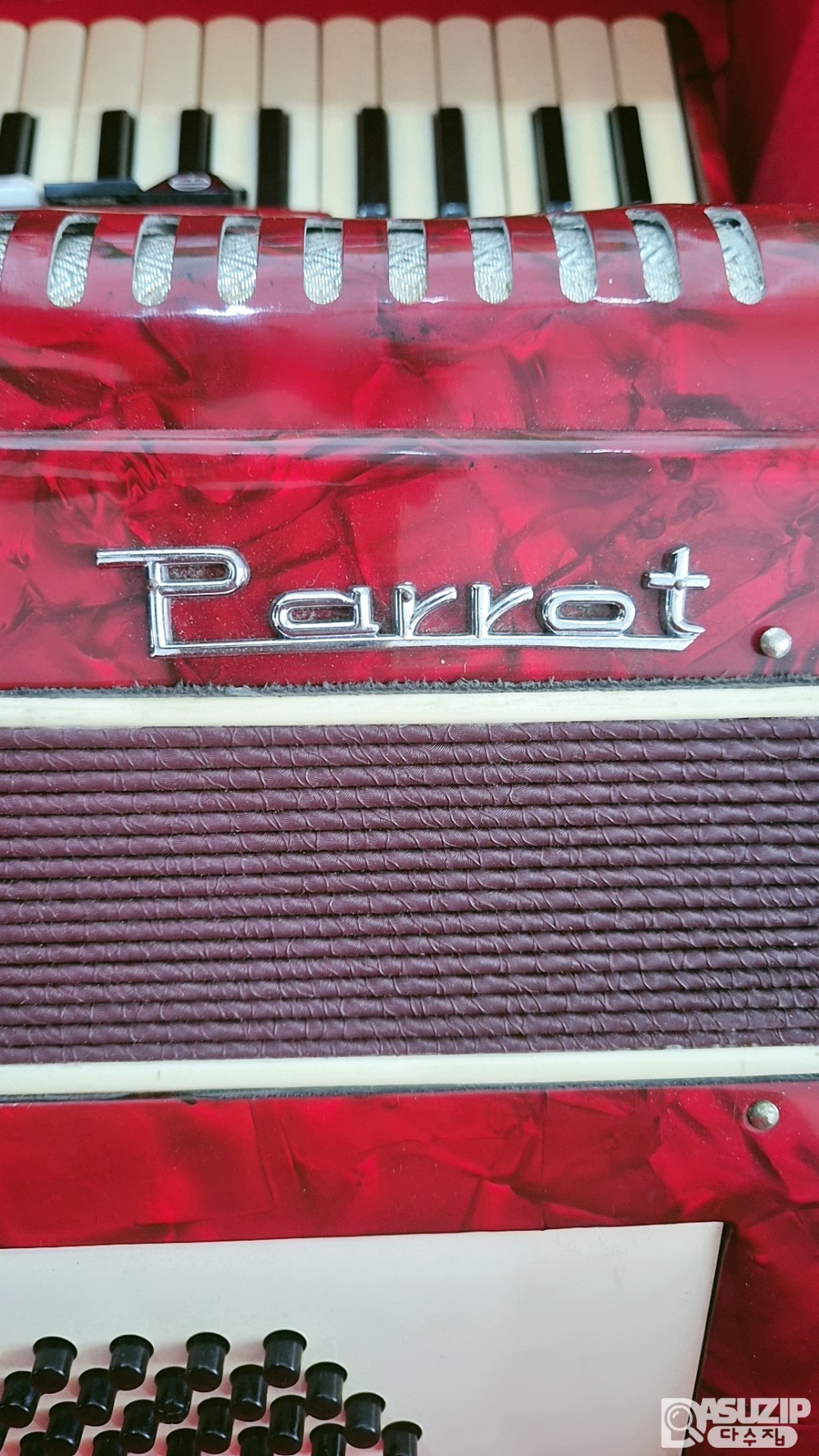 1960년대 앵무새(Parrot) 아코디언