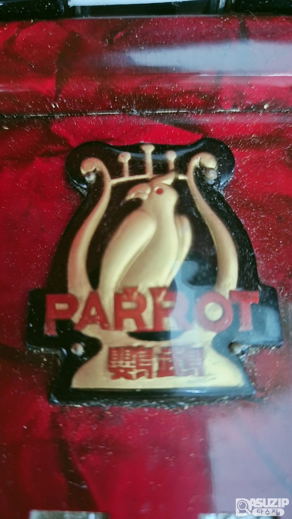 1960년대 앵무새(Parrot) 아코디언