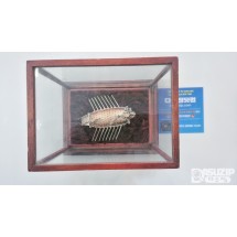 순 은 작품 : 이순신 거북선 순은 제품으로 60돈(255g=8.9 9oz)